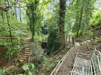Picture 46